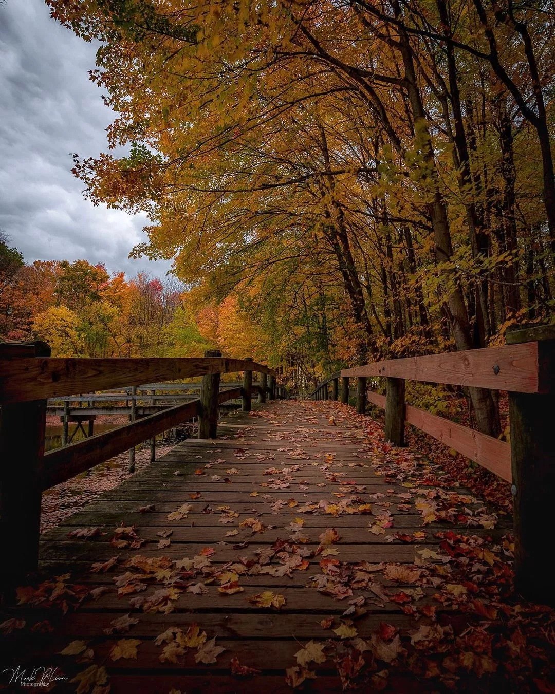 10 Stunning Photos of Fall Color in Metro Detroit | Visit Detroit